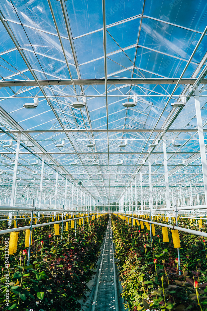 AdobeStock_194227490_Preview