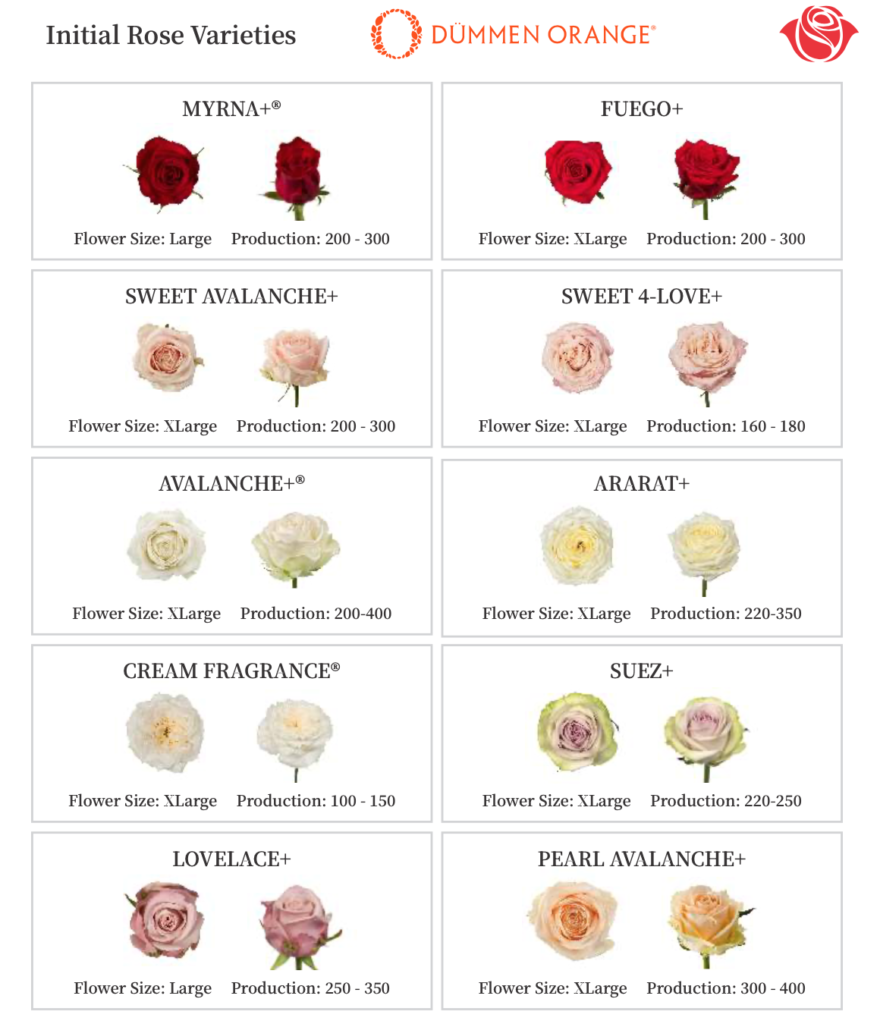 Screen Shot 2023-08-12 at 4.44.13 PM